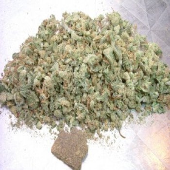 OG Kush Medical Marijuana